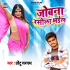 About Jobna Rasila Bhail Song